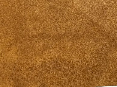 Dakota Tan Leather 2-U331052